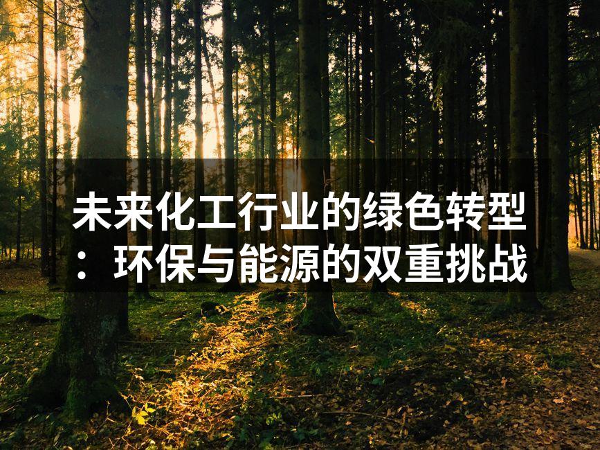 未来化工行业的绿色转型：环保与能源的双重挑战